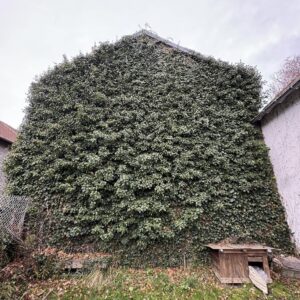 ETS ROUSSEL - Jardinier Clermont-Ferrand